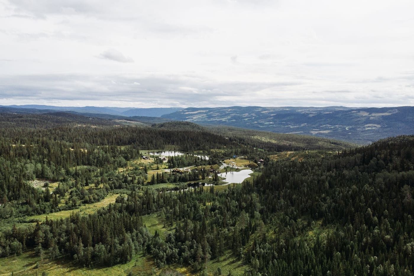 Barskog og innsjøer sett fra luften i norsk fjellandskap